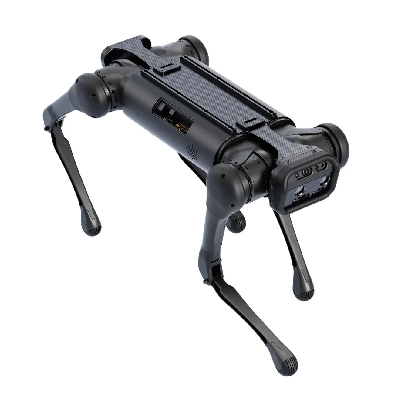 unitree aliengo robot dog